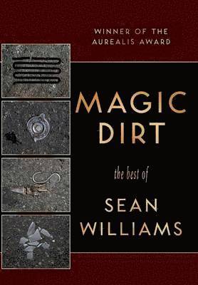 bokomslag Magic Dirt