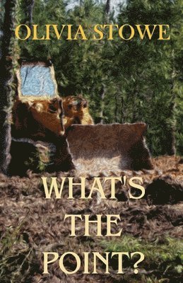 Olivia Stowe - What's The Point?: Charlotte Diamond Mysteries 5, Häftad