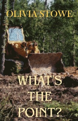 What's The Point?: Charlotte Diamond Mysteries 5 1