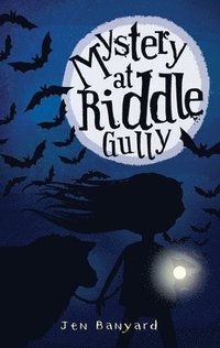 bokomslag Mystery at Riddle Gully