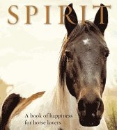 bokomslag Spirit