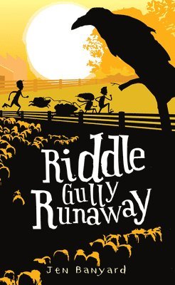 bokomslag Riddle Gully Runaway