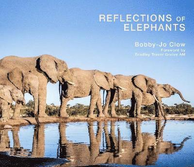 Reflections of Elephants 1