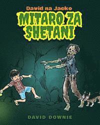 bokomslag David na Jacko: Mitaro Za Shetani (Kiswahili Edition)