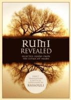 bokomslag Rumi Revealed