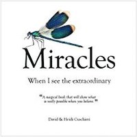 bokomslag Miracles : When I See The Extraordinary