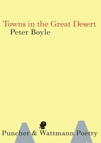 bokomslag Towns In The Great Desert
