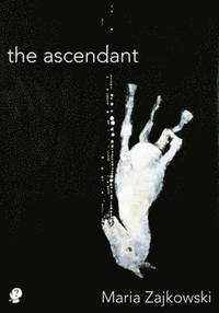 bokomslag The Ascendant