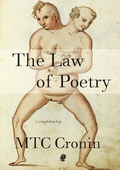 bokomslag Law of Poetry