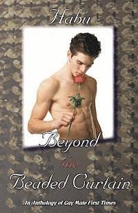 Habu - Beyond the Beaded Curtain: An Anthology of Gay First Times, Häftad