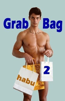 bokomslag Grab Bag 2: An Unthemed Gay Erotica Anthology