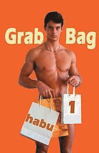 bokomslag Grab Bag 1: Gay Erotica Unthemed Anthology