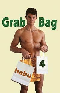 Habu - Grab Bag 4: A Gay Erotica Anthology, Häftad