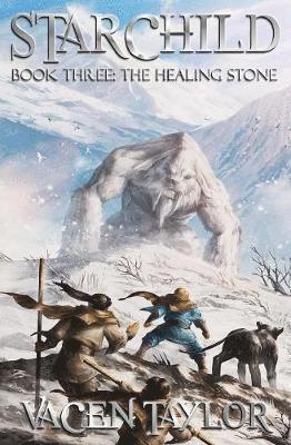 bokomslag Healing Stone