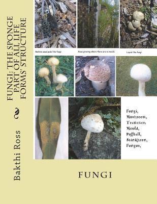 bokomslag Fungi: The Sponge Part of All Life Forms' Structure: Fungi