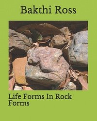 bokomslag Life Forms In Rock Forms