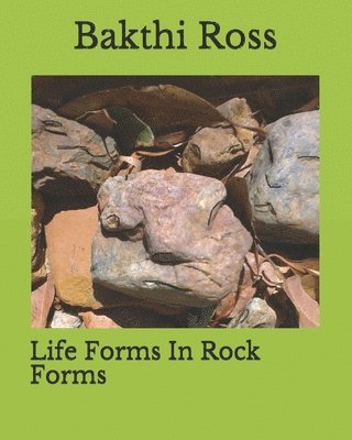 Life Forms In Rock Forms 1