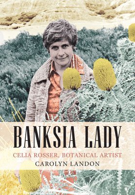 Banksia Lady