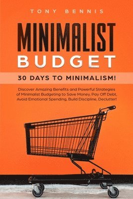 Minimalist Budget 1