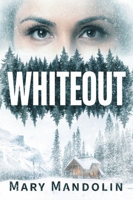 bokomslag Whiteout