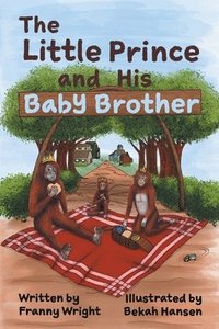 bokomslag Little Prince and his Baby Brother
