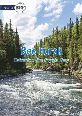 bokomslag Wonderful Water- Bee Furak