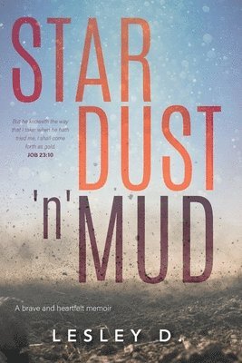 bokomslag Stardust 'n' Mud