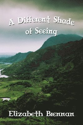 Different Shade of Seeing 1