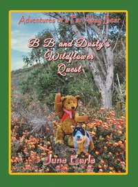bokomslag Adventures of a Far Away Bear