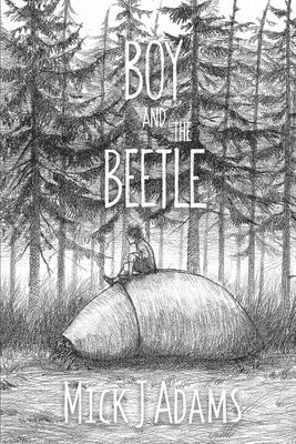 Boy and the Beetle 1