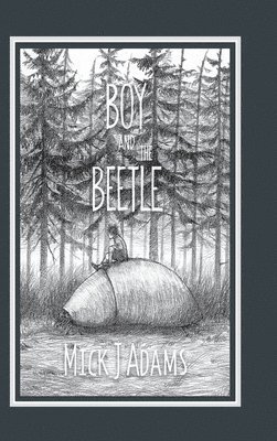 bokomslag Boy and the Beetle