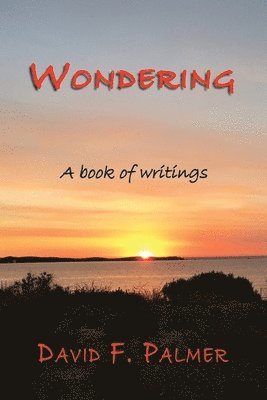 David Palmer - Wondering, Häftad