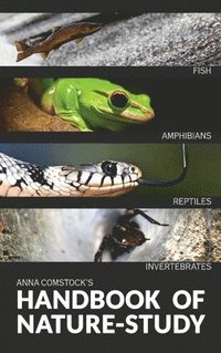 bokomslag The Handbook Of Nature Study in Color - Fish, Reptiles, Amphibians, Invertebrates