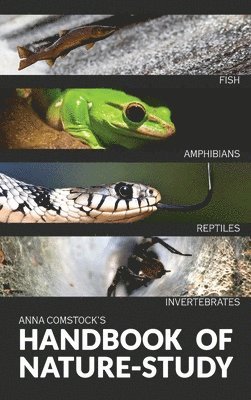 bokomslag The Handbook Of Nature Study in Color - Fish, Reptiles, Amphibians, Invertebrates