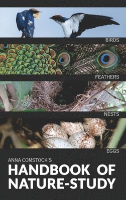 Anna B Comstock, Anna B. Comstock, Anna B, Comstock - Handbook Of Nature Study in Color - Birds, Inbunden