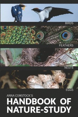 Anna B Comstock, Anna B. Comstock, Anna B, Comstock - Handbook Of Nature Study in Color - Birds, Häftad