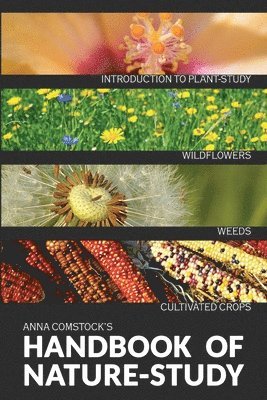 Anna B Comstock, Anna B. Comstock - Handbook Of Nature Study in Color - Wildflowers, Weeds & Cultivated Crops, Häftad