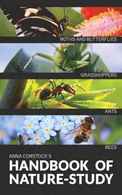 Anna B Comstock, Anna B. Comstock - Handbook Of Nature Study in Color - Insects, Inbunden