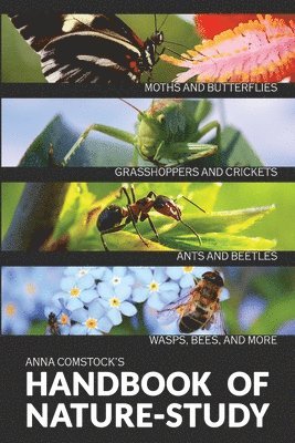 Anna B Comstock, Anna B. Comstock, B Comstock, Anna - Handbook Of Nature Study in Color - Insects, Häftad