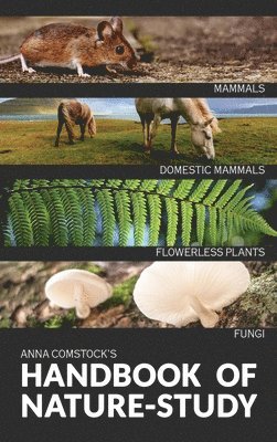 Handbook Of Nature Study in Color - Mammals and Flowerless Plants