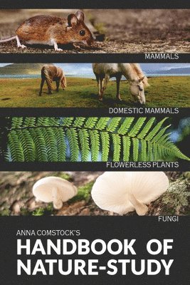 Anna Comstock, Anna, Comstock - Handbook Of Nature Study in Color - Mammals and Flowerless Plants, Häftad