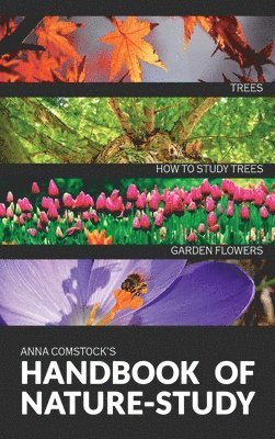 bokomslag The Handbook Of Nature Study in Color - Trees and Garden Flowers