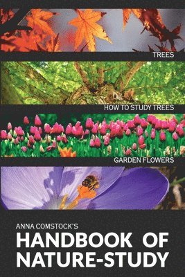 Anna B Comstock, Anna B. Comstock - Handbook Of Nature Study in Color - Trees and Garden Flowers, Häftad