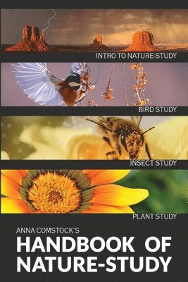 bokomslag The Handbook Of Nature Study in Color - Introduction