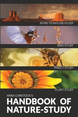 Anna B Comstock, Anna B. Comstock, B Comstock, Anna - Handbook Of Nature Study in Color - Introduction, Häftad
