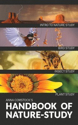 Anna B Comstock, Anna B. Comstock, B Comstock, Anna - Handbook Of Nature Study in Color - Introduction, Inbunden