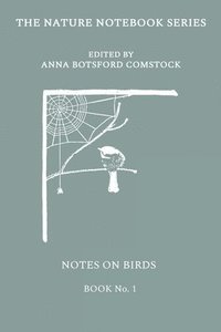 bokomslag Notes on Birds 1