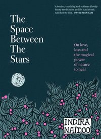 bokomslag Space Between the Stars