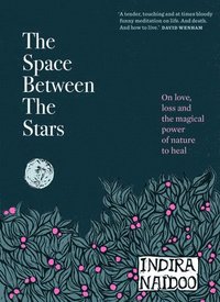 bokomslag The Space Between the Stars