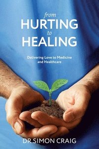 bokomslag From Hurting to Healing